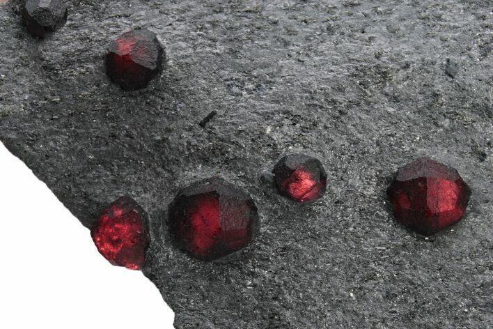 Plate of Eighteen Red Embers Garnets in Graphite - Massachusetts #225930